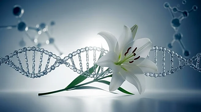 James Watson, Co-Discoverer of DNA Double Helix, Dies at 97