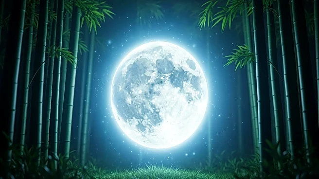 Netflix Announces 'Cosmic Princess Kaguya' Anime Film Based on Japanese Folktale