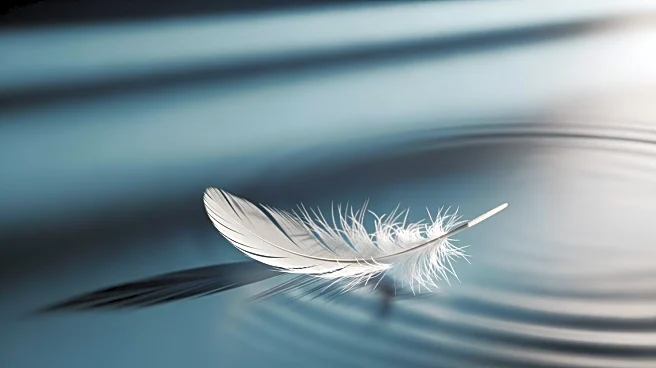 Dodgers' Alex Vesia Mourns Loss of Baby Daughter