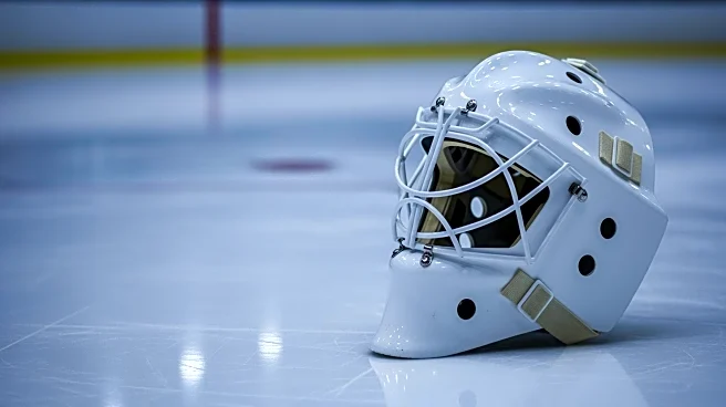 Toronto Maple Leafs Goalie Joseph Woll Begins AHL Conditioning Stint Before NHL Return