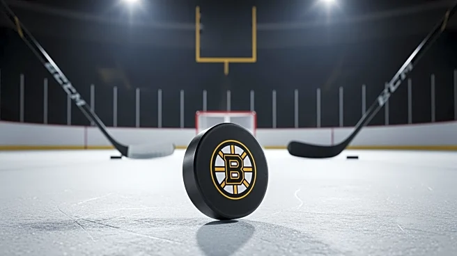 Pavel Zacha Scores Overtime Winner for Bruins Against Senators