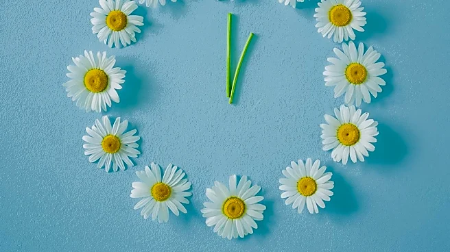 Creative Workshops at Hey Daisy Studio in Sacramento