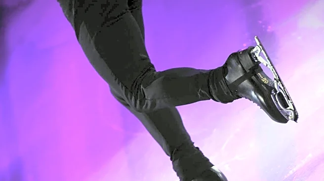 Lake Tahoe Skating Rink Welcomes Unusual Visitor: Black Bear Named Charlie