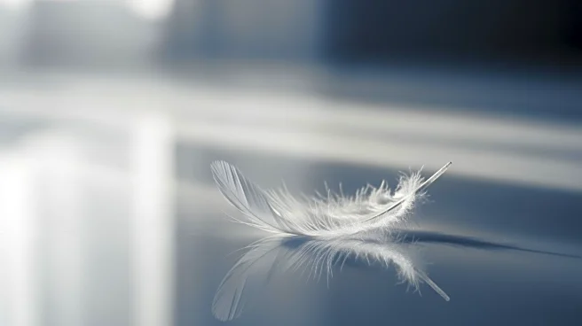 Dodgers' Alex Vesia and Wife Kayla Mourn Loss of Infant Daughter Sterling