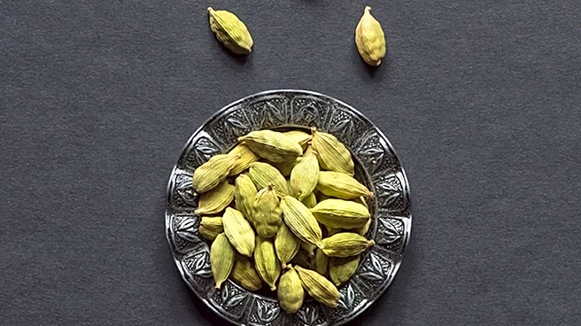 Eugene P. Cardamone's Passing and Legacy in the Salon Industry