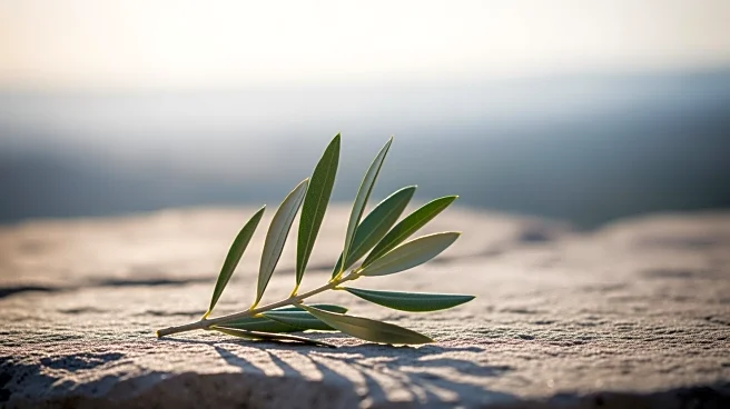 Rabbi Doron Perez Advocates for Healing Amidst Political Divisions in Israel