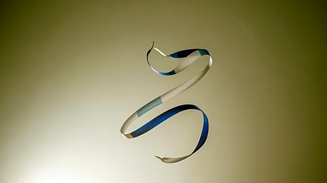 Israeli Gymnastics Team Cleared for World Championships Despite Indonesian Ban