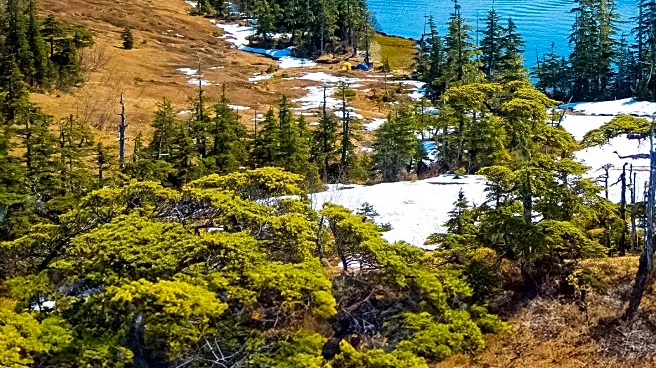 Fairbanks Faces Weather Challenges with Snow Showers Expected