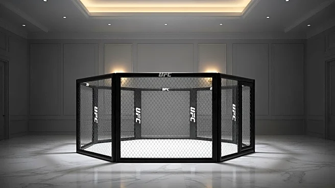 Dana White Faces Budget Challenges for Upcoming UFC White House Event