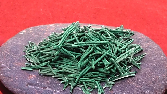 Spirulina Platensis Shows Potential Anti-Proliferative Effects on Lung Cancer Cells