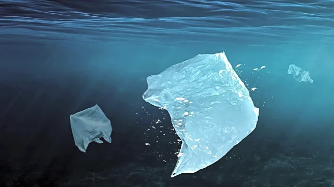 Concerns Over Plastics in Underwear Highlighted by Experts