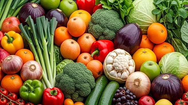 Agriculture Ministers in the Americas Advocate for Sustainable Food Systems