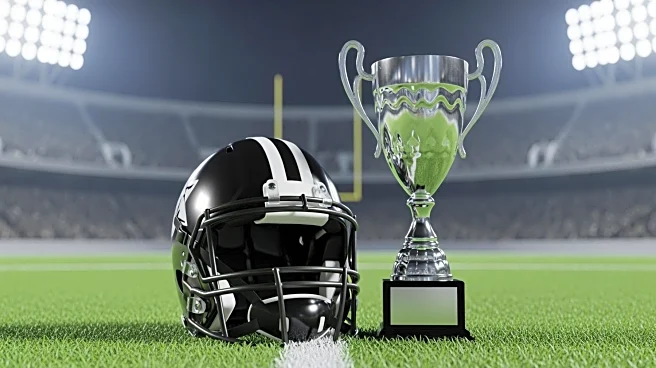 NFL Implements Major Restructuring in United Football League, Impacting Team Management and Playoff Structure