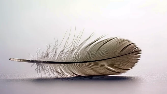 Sydney Sweeney Addresses Backlash Over American Eagle Advertisement