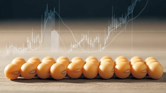Soybeans Experience Price Increase Amid Market Fluctuations