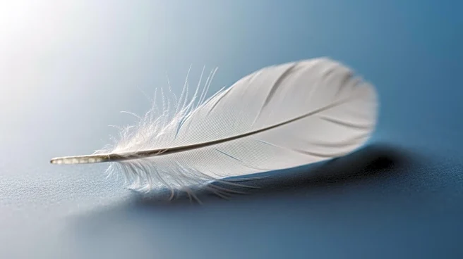 Dodgers' Alex Vesia Announces Tragic Loss of Baby Daughter