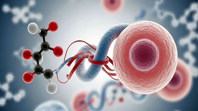 Scientists Discover New Role of Enzyme in Fat Cells, Challenging Long-Held Beliefs