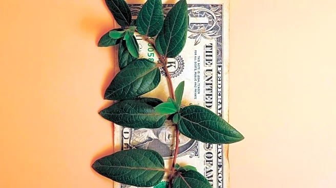 Amazon's Secret Dollar Store Offers Affordable Holiday Finds