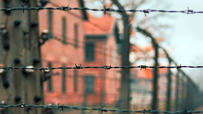 Wellness Experts Share Tips for Surviving Cold and Flu Season