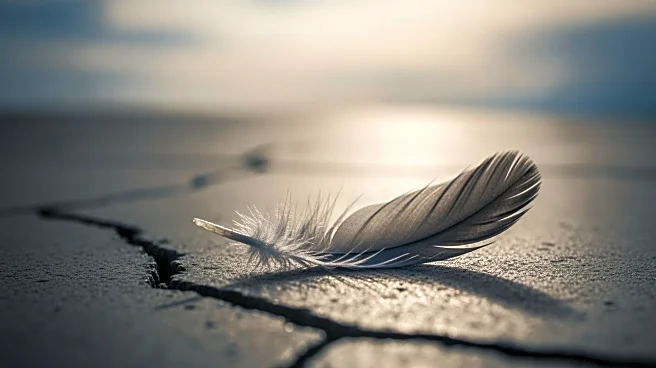 Gaza Health Officials Report Palestinian Death Toll Surpasses 69,000 Amid Ceasefire