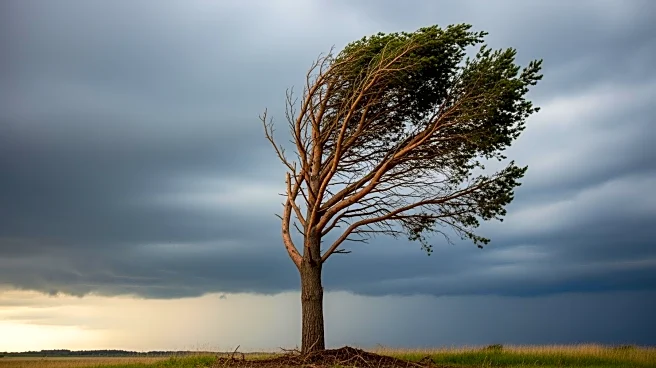Brazil Tornado Causes Devastation, Highlighting Global Weather Concerns