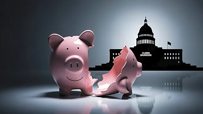 US Consumer Sentiment Plummets Amid Government Shutdown and Economic Concerns