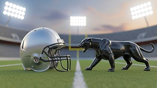 Saints vs. Panthers: Key Matchup in NFL Week 10 with Playoff Implications