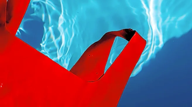 Sante Scardillo Swims in Polluted Red Hook Channel Daily, Finds Solace Despite Health Risks