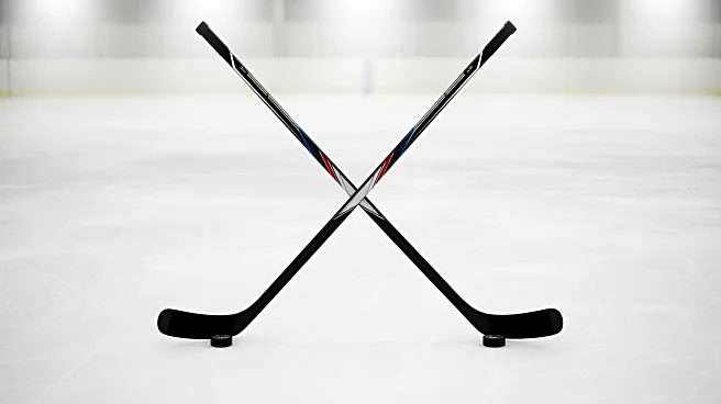 Rangers' Jaroslav Chmelar Impresses in NHL Debut with Fight