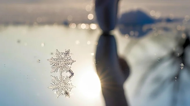 Ariana DeBose Deletes Instagram Post Amid Snow White Controversy