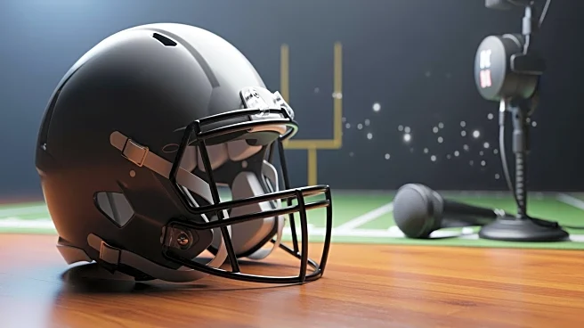 Fox Sports Ends Mark Sanchez's Tenure Following Arrest and Felony Charge