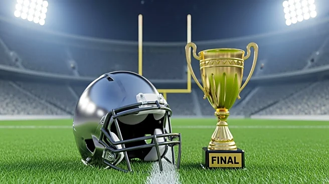 Brighton Secures Victory Over Wester Schroeder in Section V Class A1 Football Finals