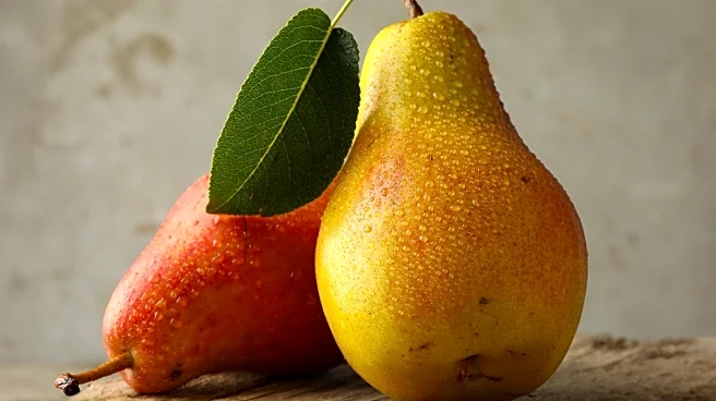 Your Produce Man Discovers Unique Pears in Oregon