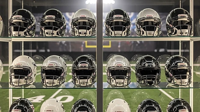 NFL Season Sparks Surge in Collectibles Market Demand