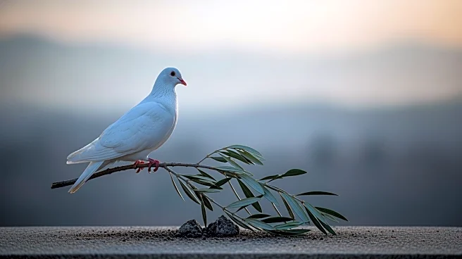 Gaza Death Toll Surpasses 69,000 Amid Ongoing Ceasefire and Body Exchanges