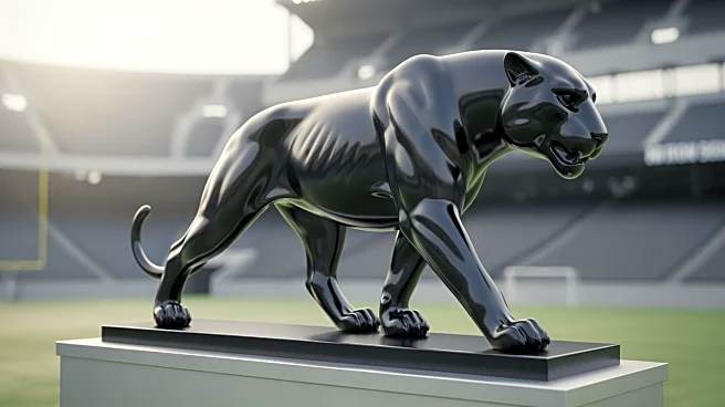 Carolina Panthers Elevate Dan Chisenda for Season Debut Amid Injuries