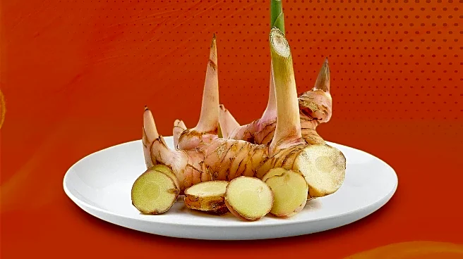 CNN's Harry Enten to Address Thanksgiving Cooking Challenges in Special Broadcast