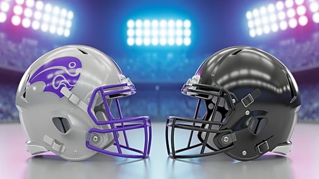 Minnesota Vikings vs Baltimore Ravens NFL Game: Streaming Options and Key Matchup Details