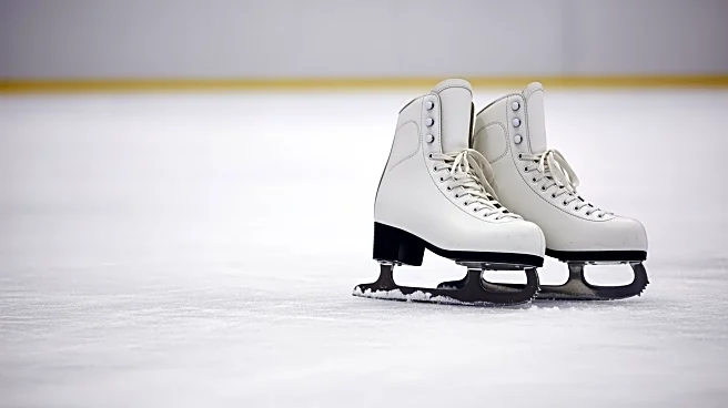 Shibutani Siblings Address Leaked Video of Alex Berating Maia Amid Comeback