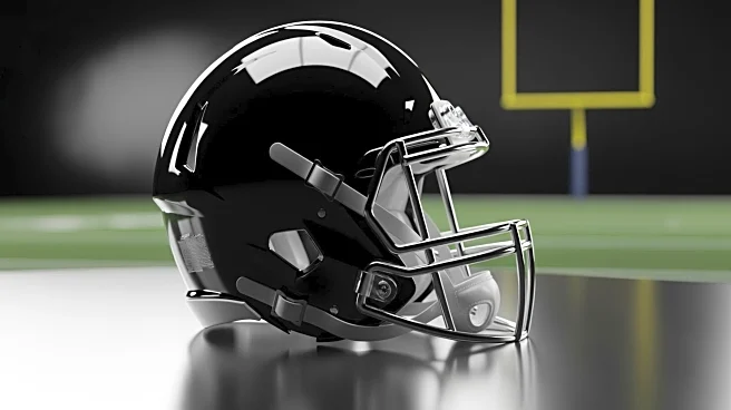 Former NFL Executive Criticizes Miami Dolphins Leadership Amidst Coaching Uncertainty