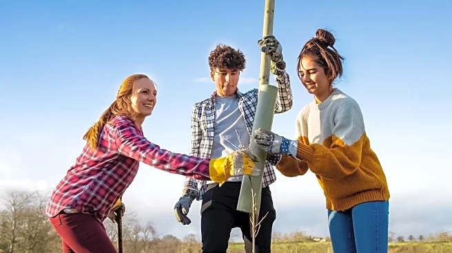 Westmorland and Furness Council Implements Japanese Tree-Planting Method to Enhance Biodiversity