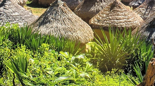 Medicinal Gardens Support Indigenous Communities and Ecosystems