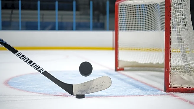 Bo Horvat Scores Second Goal in Power-Play for New York Islanders