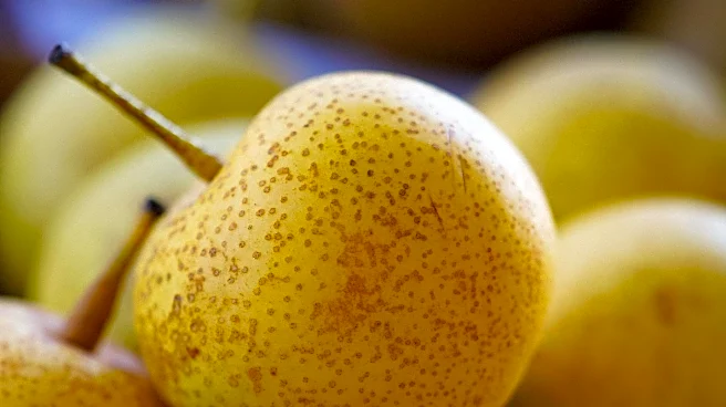 Your Produce Man Explores Oregon Pears, Uncovers Surprising Finds