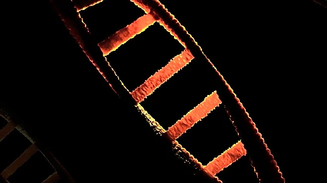 Crispr Gene Editing Therapy Reduces Cholesterol Levels by Half