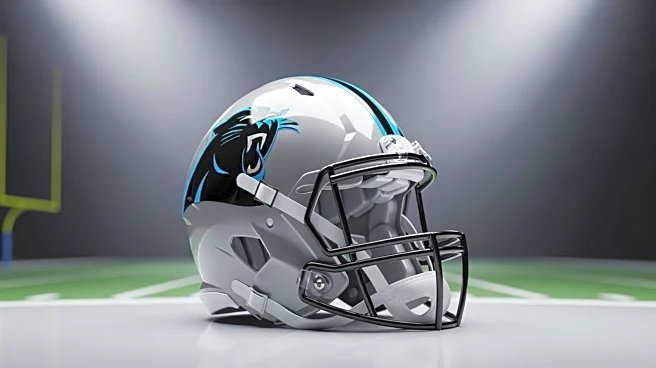 Tetairoa McMillan Expected to Play Despite Injury Concerns for Panthers