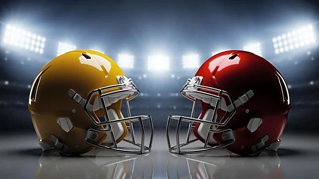 NFL Week 10 Features Key Matchups with Playoff Implications