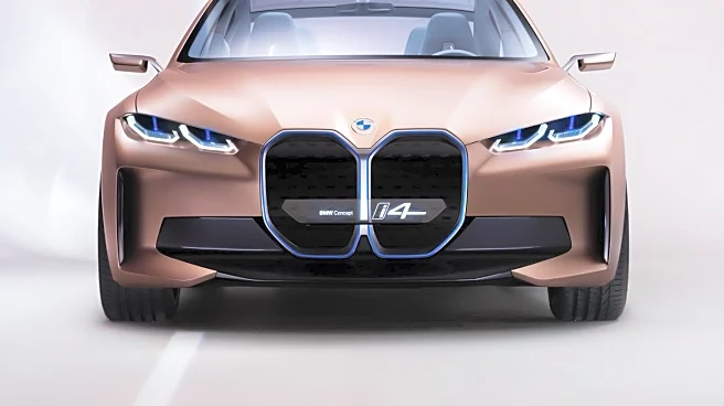 Game Developer Seeks Kidney Donor for Lead Playtester