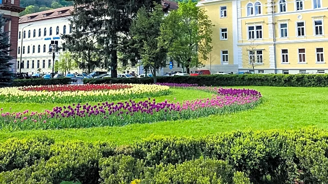 Austrian Nuns Escape Nursing Home to Return to Convent, Sparking Controversy