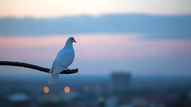 Thousands Attend Funeral of Slain Ex-Hostage in Tel Aviv
